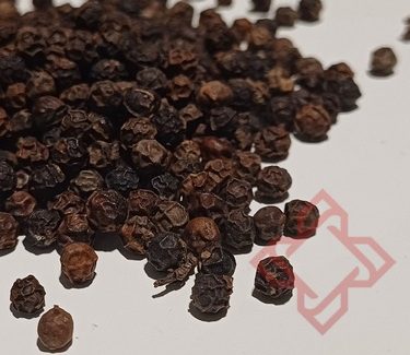 lampung black pepper