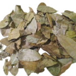 dried mango leaves for tea