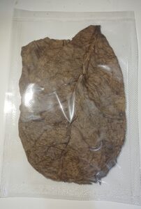 premium catappa leaves packaging